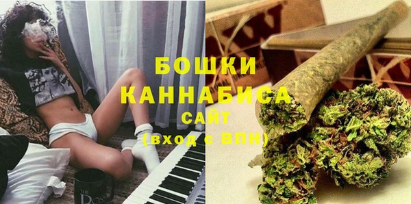 молекула духа Бежецк
