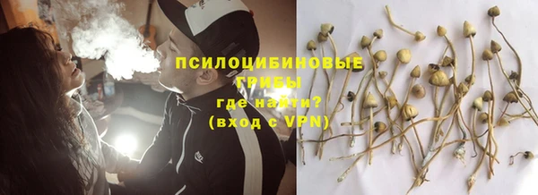 первитин Нея